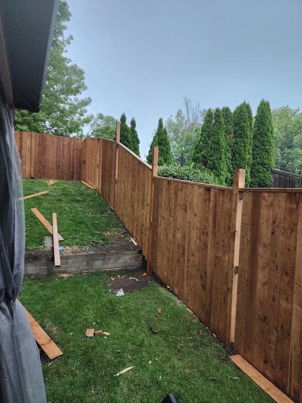 Cedar privacy fence